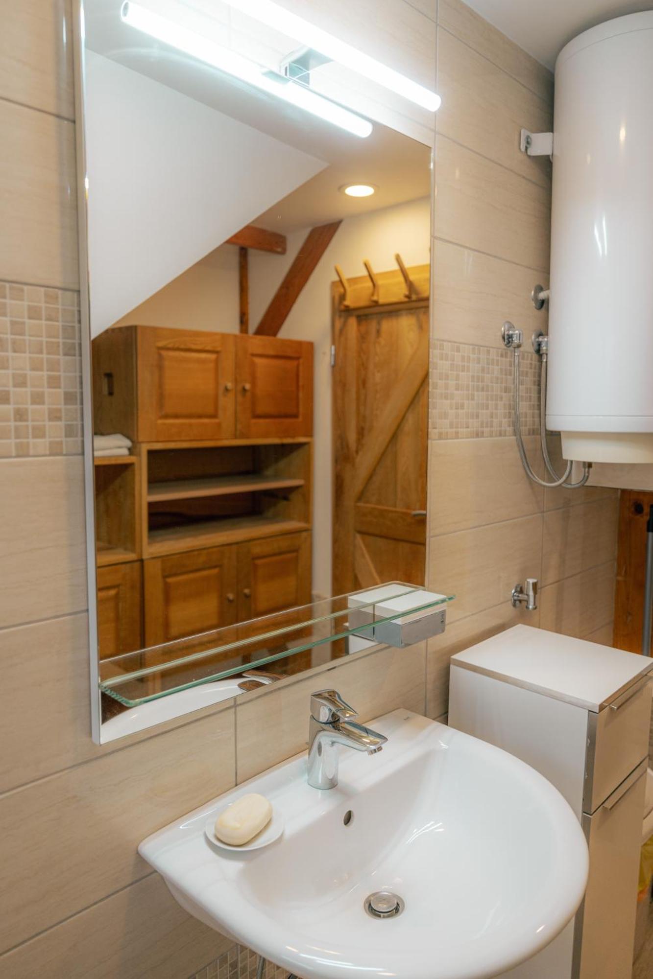 Appartamento Country Retreat, Near Ljubljana City, Apartma Na Vasi, Blizu Mesta Ljubljana Medvode Esterno foto